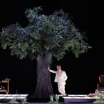 La rigenerazione_Mascia_DSC_6852 La rigenerazione_Mascia_DSC_6852