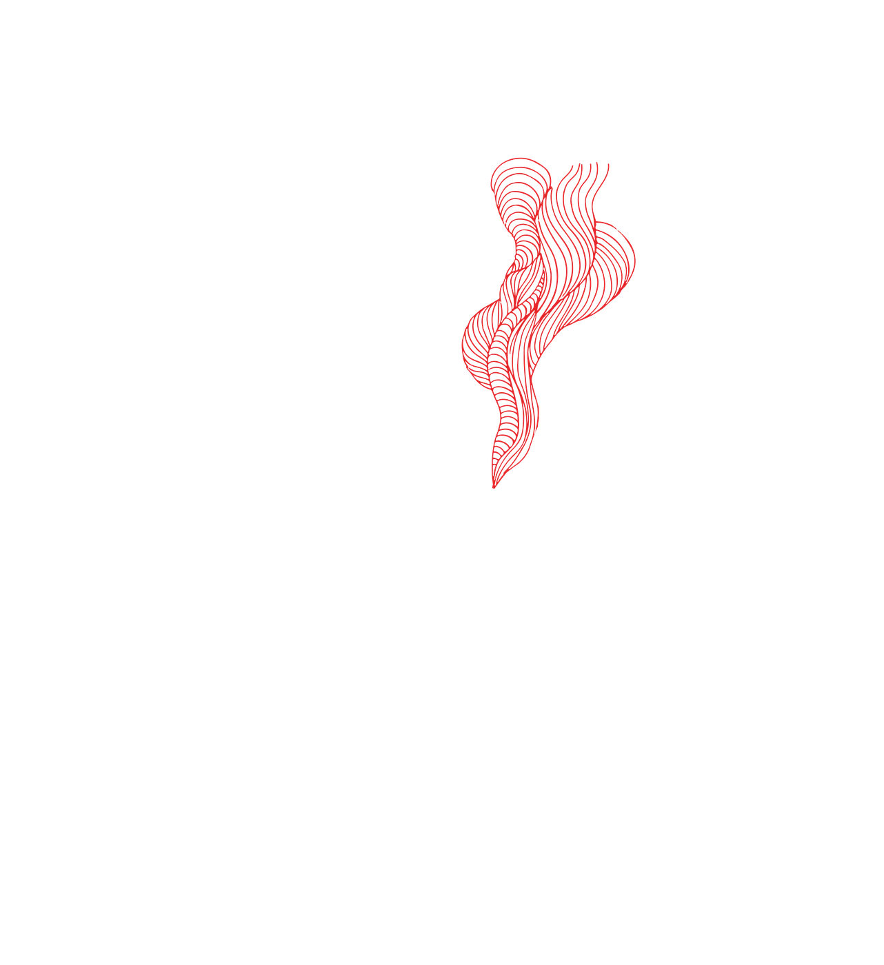 Il fuoco