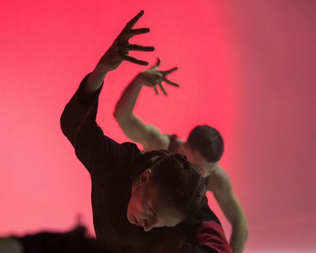 L.A.V.A. — scatto 7